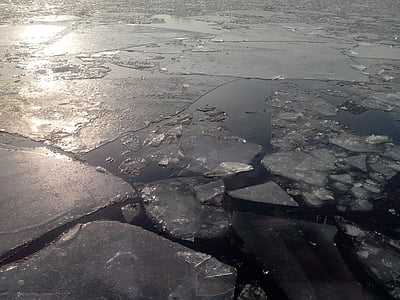 jég floes, nap, természet