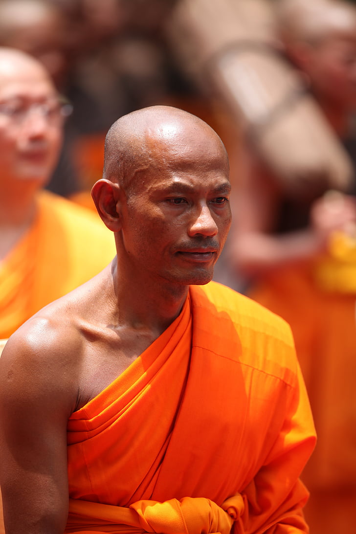 moine, bouddhiste, méditer, tradition, cérémonie, orange, robe