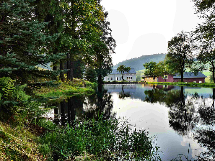 sågverket rölligmühle, saupsdorf, träförädling, naturen, sjön, vatten, träd