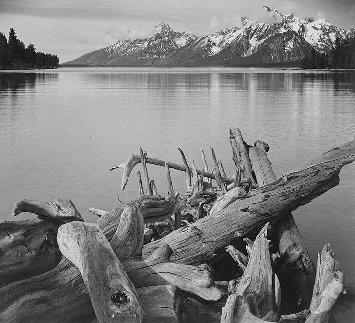montagnes, eau, noir et blanc, Lac de Jackson, Tetons, chaîne de montagnes, paysage
