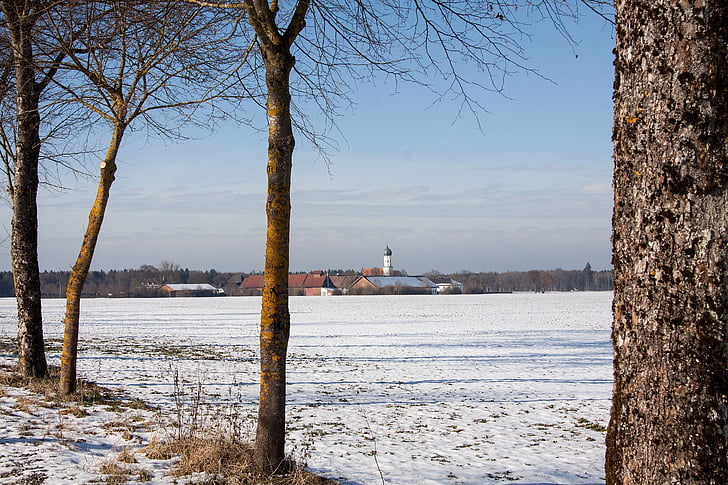 Gut, Manor, St Radko v möschenfeld, Avenue, zimné, sneh, stromy