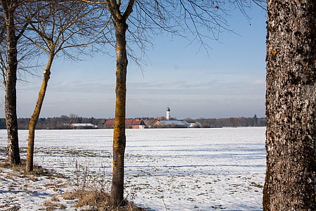 창 자, 매너, möschenfeld에서 세인트 과정, 애비뉴, 겨울, 눈, 나무