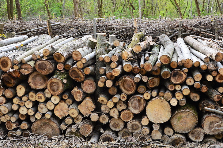 piles of deadwood, deadwood hedge, wood