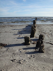 Beach, morje, Baltskega morja, ob morju, plaža morje, počitnice, čudovite plaže