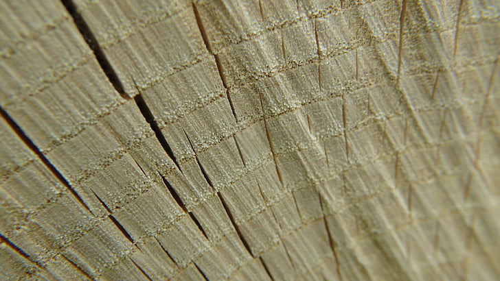 textuur, hout, houten, hout, patroon, bruin, materiaal