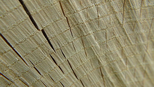 textura, madera, madera, madera, patrón de, marrón, material