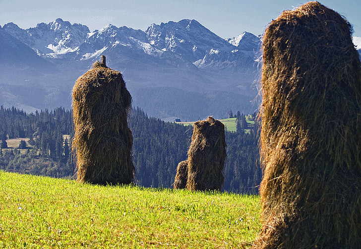 kopki hay, grass skoszona, stacks of hay, sunny, work, nature, podhale