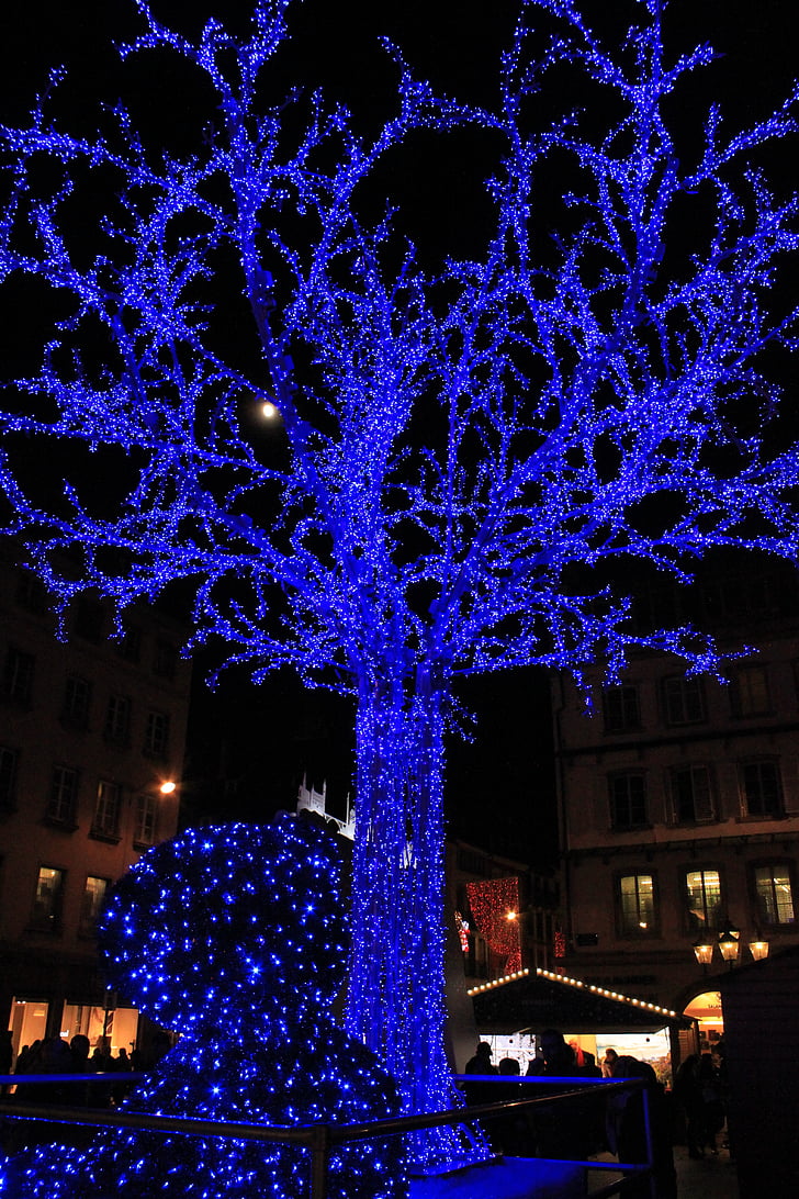 arbre, va portar, blau