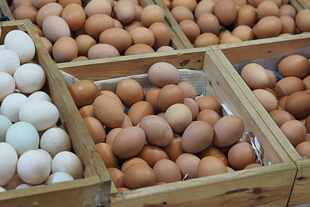 ovo, painel de, vender, comida, matérias-primas, natureza, gêneros alimentícios