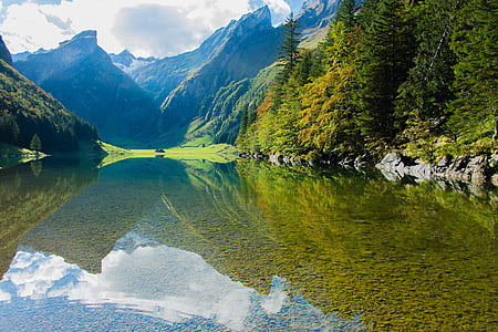 seealpsee, 물, 자연, 스위스, 산, 반사, 산