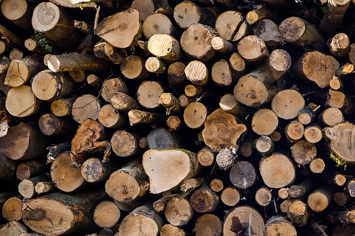 log, kayu, tumpukan kayu, memotong, pohon, kayu, kayu