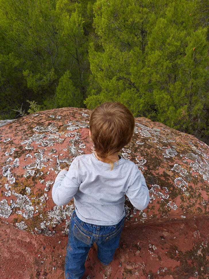child, rock, abyss, forest, mountain, view, scalar