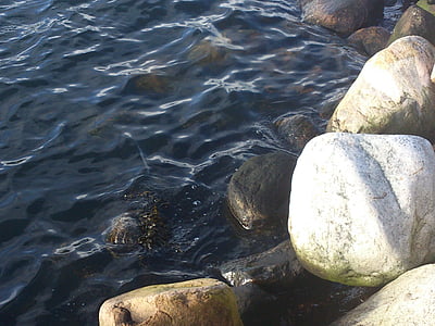 sten, vatten, reflektion, naturliga, avkoppling, Zen, lugn