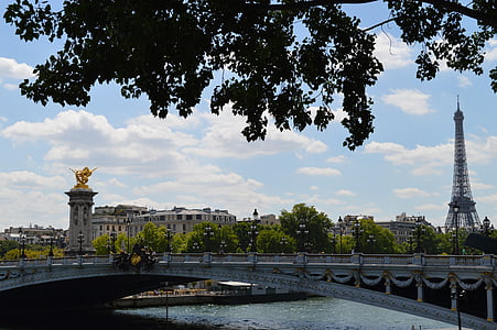 París, Puente de Alexandre iii, Torre Eiffel, panorama, ciudad