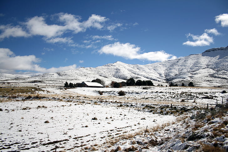 Jihoafrická republika, východní cape, hory, sníh, Zimní, vrcholy, zemědělská usedlost