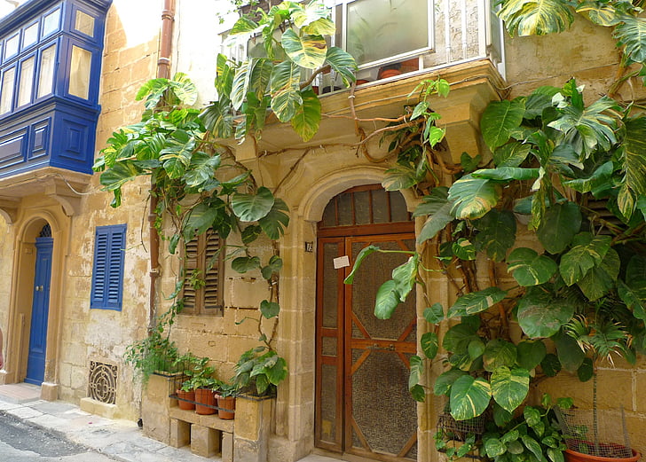 casa frente, edificio, escalador, Idilio, exóticos, Malta, gozo