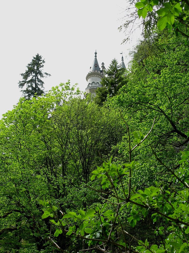 peri castle, Kristin, poellatschlucht, batu, Spruce, hutan, Bavaria