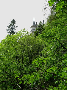 Приказен замък, Кристин, poellatschlucht, рок, смърч, гора, Бавария