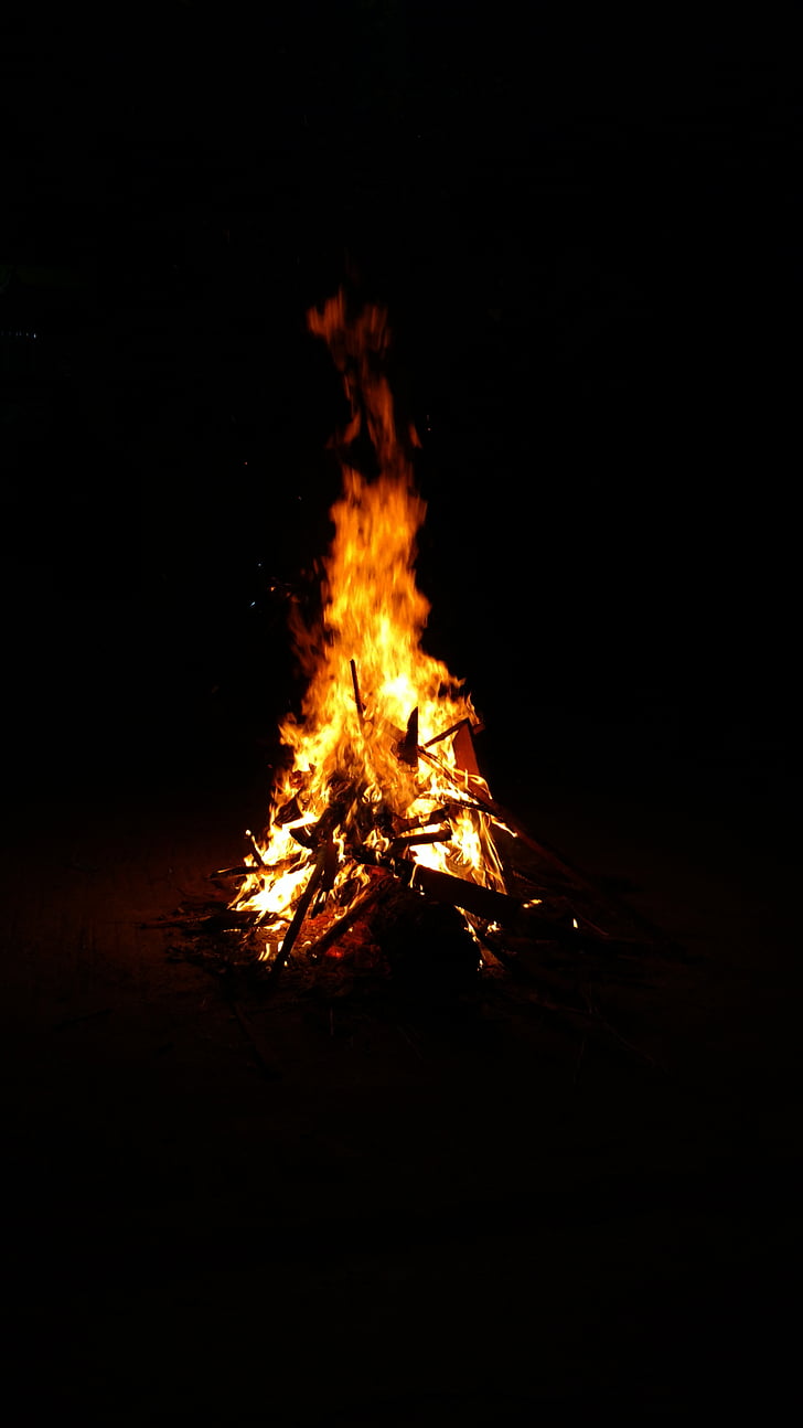 oheň, dřevo, noční
