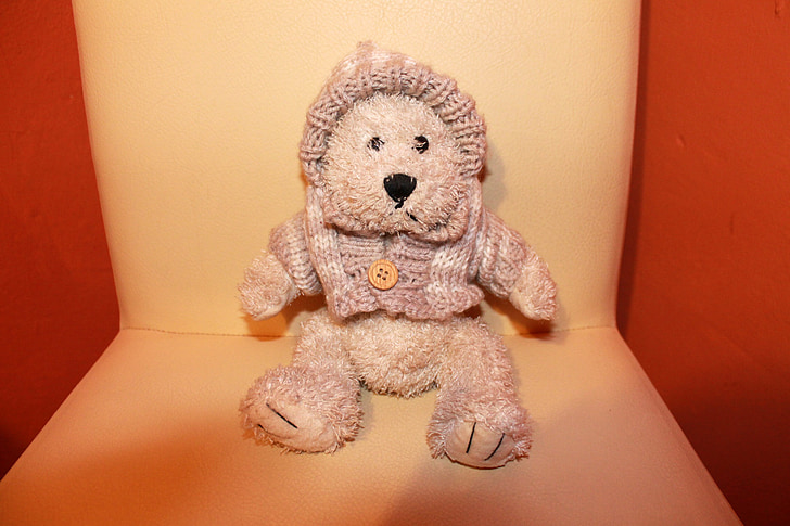 Teddy, plush đồ chơi, lợn rừng nhồi bông, gấu, gấu bông, đồ chơi, gấu