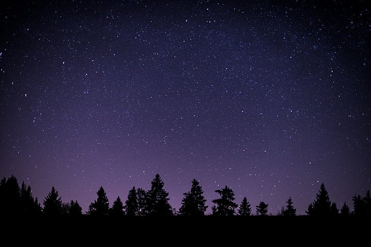 nature, night, silhouette, sky, stars, trees, star - Space