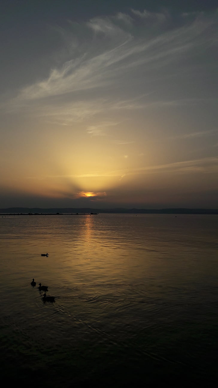 landschap, het Balatonmeer, zonsondergang, Mallards, zee, natuur, hemel
