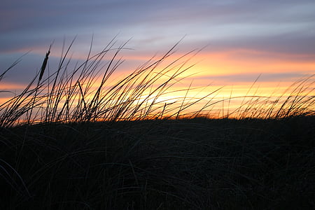 solnedgång, Dune, landskap, kusten, solljus, stranden, turism
