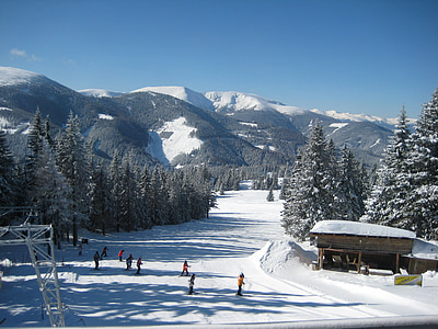 Skifahren, Winter, Schnee, Schneelandschaft, Berge, Wald, Frost