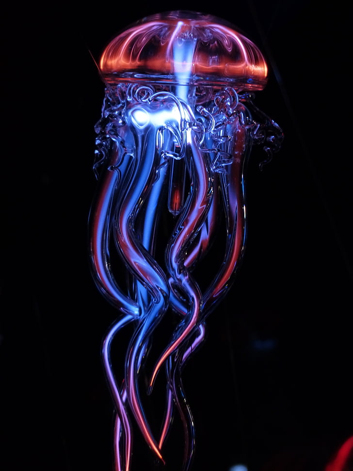 jellyfish, glass, lamp, orange, Magic, black background, shape