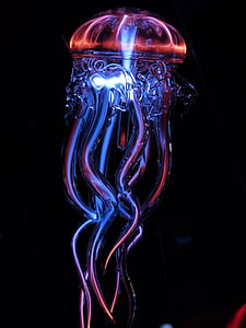 jellyfish, glass, lamp, orange, Magic, black background, shape