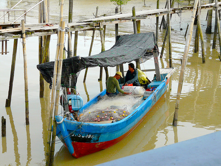 visserij, vis, kukup, Maleisië, boot, schip, traditie