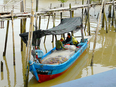 pesca, pescado, kukup, Malasia, barco, de la nave, tradición