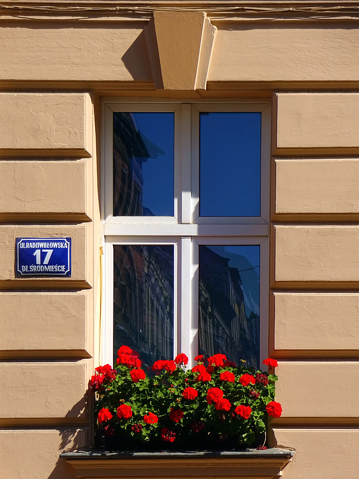 fönster, Kamienica, Kraków, hus, gamla stan, fasader, byggnad