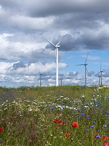 Ветер, Энергия, небо, Цветы, облака, мощность, окружающей среды