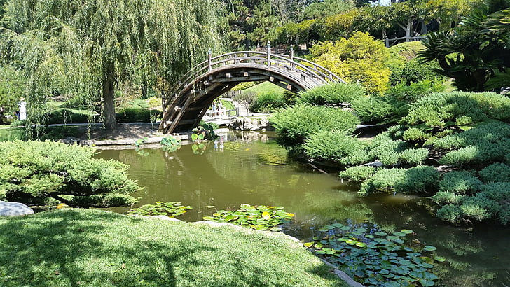 japanese, garden, zen, pond, oriental