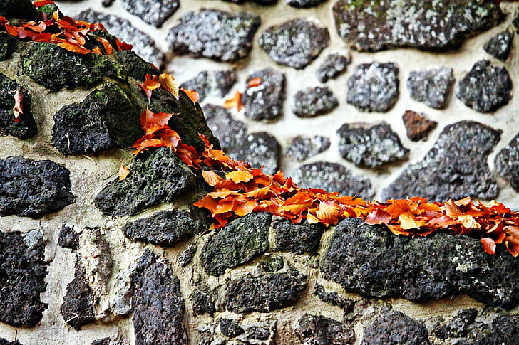 parede, feilenmoos, aglutinando pedra, Outono, folhas, ruína, gruta