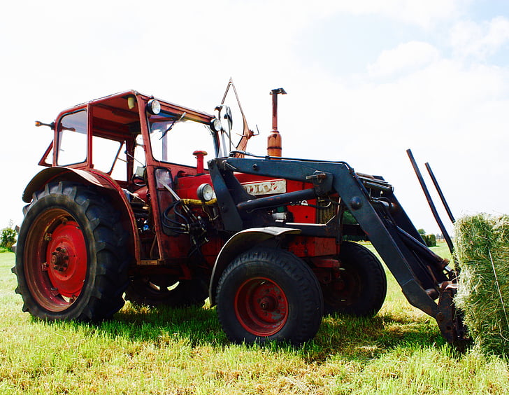 traktorius, raudona, vasaros, derliaus, mašina, lantbru