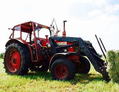 traktor, röd, sommar, skörd, maskin, lantbru
