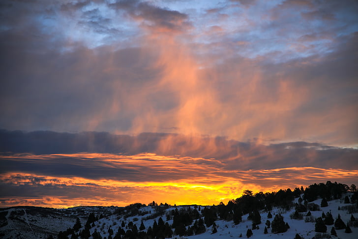 mountain, snow, pine, tree, clouds, sky, sunset