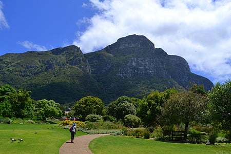 cape town, south africa, botanical