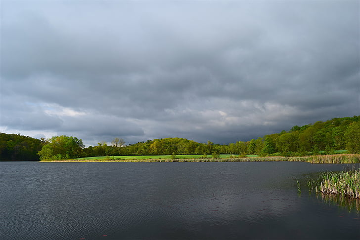jezero, tráva, stromy, obloha, mraky, Příroda, krajina