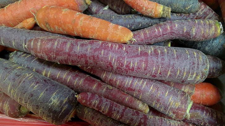 wortel, sayuran, kebun sayur, ungu wortel, makanan dan minuman, Makanan, sayur