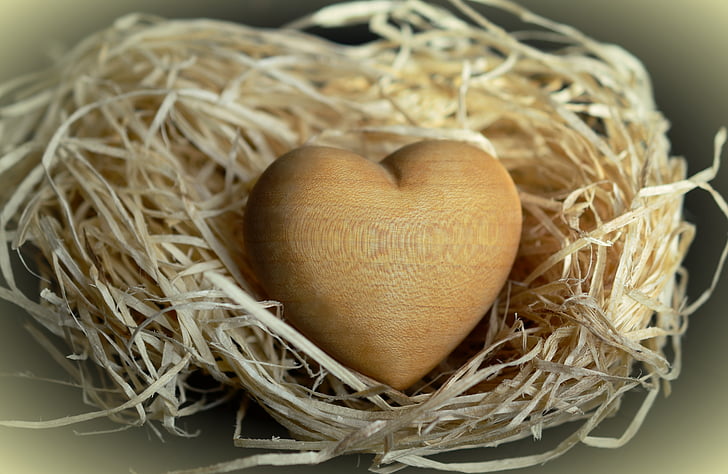 wood, wood wool, natural materials, light brown, of course, heart, wooden heart