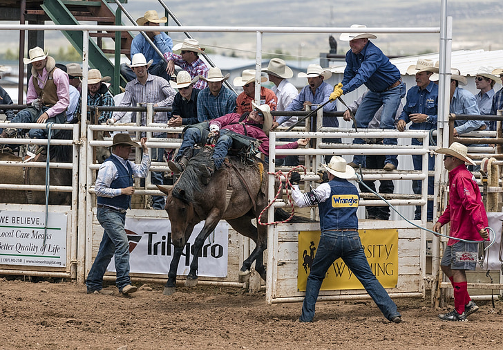 Cowboys, Bronc rider, Rodeo, Bronco, paard, man, bucking