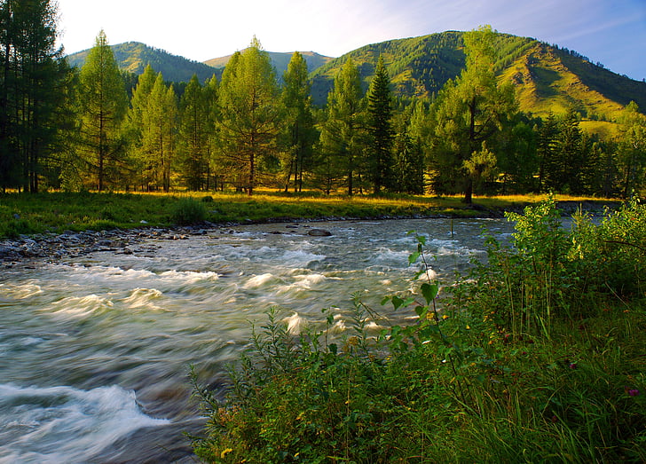 river, evening, mountain altai, landscape, mountains, nature, sky