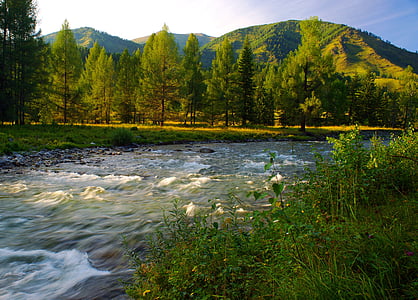 řeka, večer, Horský Altaj, krajina, hory, Příroda, obloha