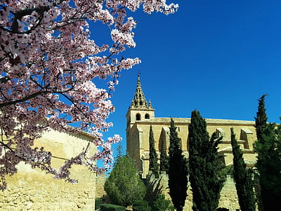 church, flowers, spring, tower, flowery branch, catholic