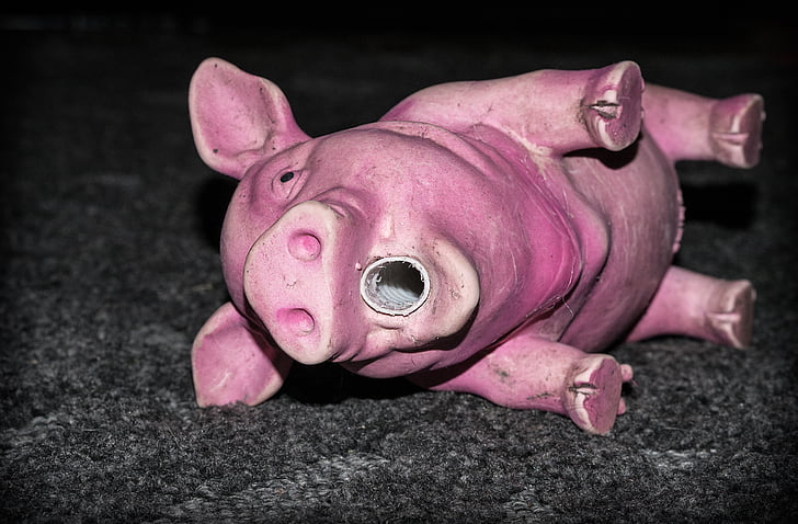 Piggy, grisen, leketøy, gummi, hunden, rosa