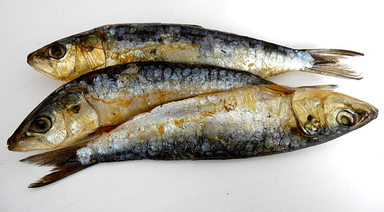 sardiner, røget, mad, sild, appetitvækker, spise