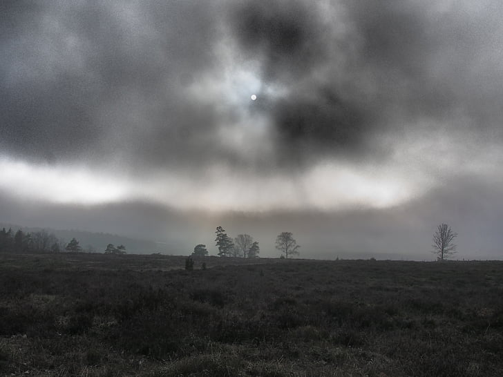 moorland, mist, autumn evening, nature, mystery
